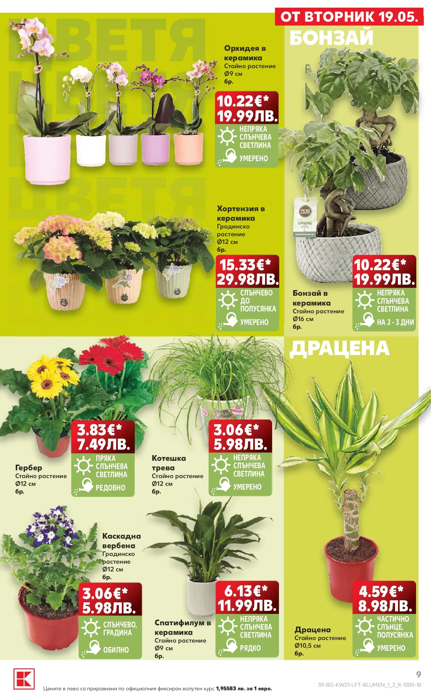 Нова Кауфланд брошура - Вземи XTRA с Kaufland предложения с валидност до 24.05.2026 от 17.05.2026 | Страница: 9 | Продукти: Орхидея