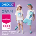 Pepco: Pepco akci&oacute;s - 2026.05.29 napig