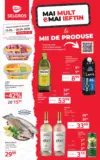 Catalog Selgros p&acirc;nă &icirc;n data de 28.05.2026