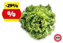 HOFER MARKTPLATZ Bio-Spezialsalat aus &Ouml;sterreich*