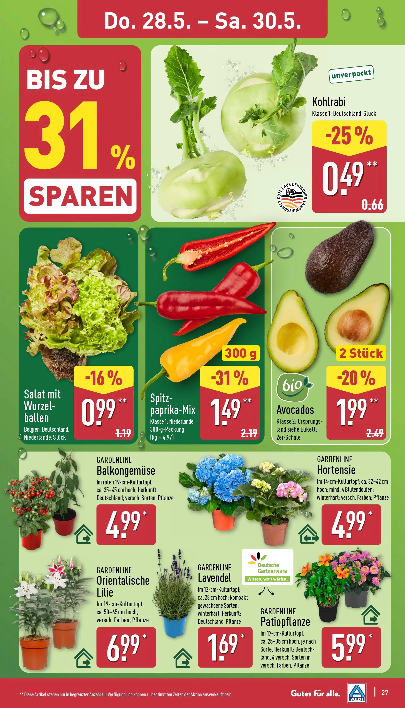 Aldi Wochenangebote (ab 26.05.2026) » Angebote Online | Seite: 27 | Produkte: Hortensie, Kohlrabi, Lavendel, Salat