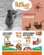 Conad Campione di tuffi e pisolini - al 04.06.2026