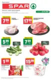 T21 spar 2