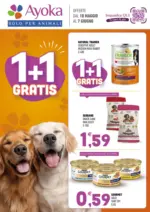 Multicedi S.r.l. 1+1 Gratis - al 07.06.2026