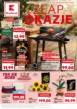 Kaufland NON Food ważny do 2.06