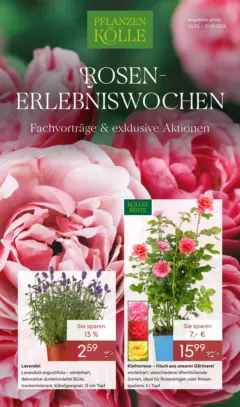 Pflanzen-Kölle Rosenerlebniswochen Borgsdorf ab 26.05.2026 gültig