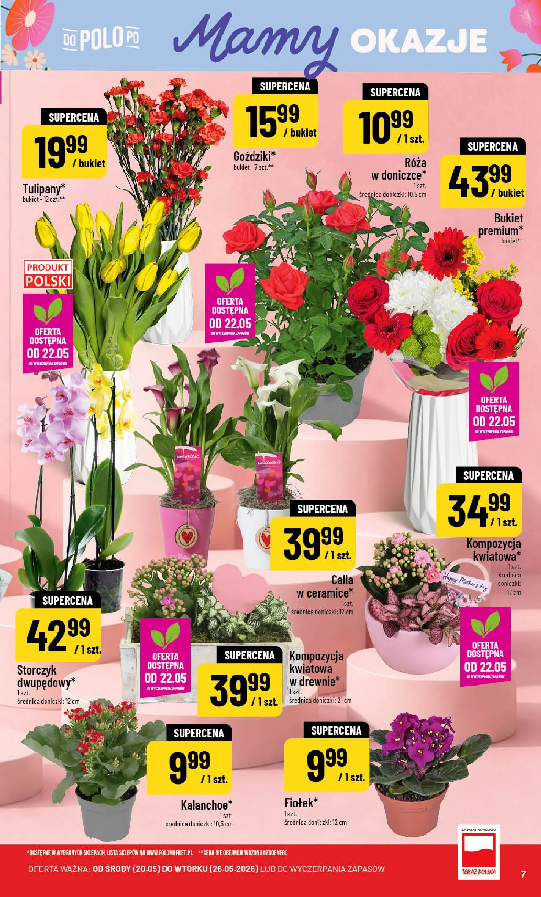 Nowa POLOmarket gazetka od jutra 20.05.2026 | Strona: 7 | Produkty: Doniczki, Storczyk