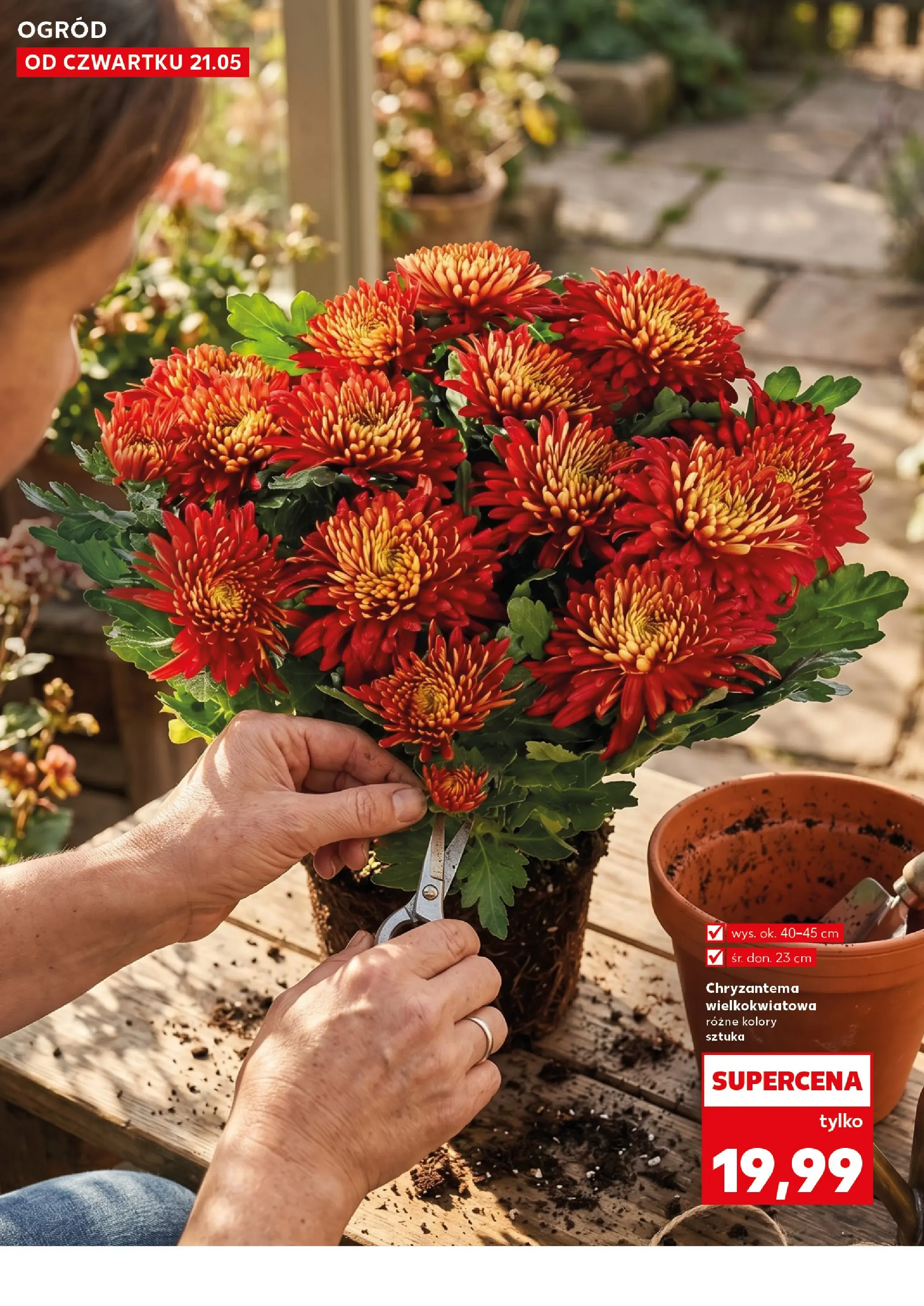 Kaufland gazetka - Ogród od 21.05.2026 - od jutra PDF | Strona: 10