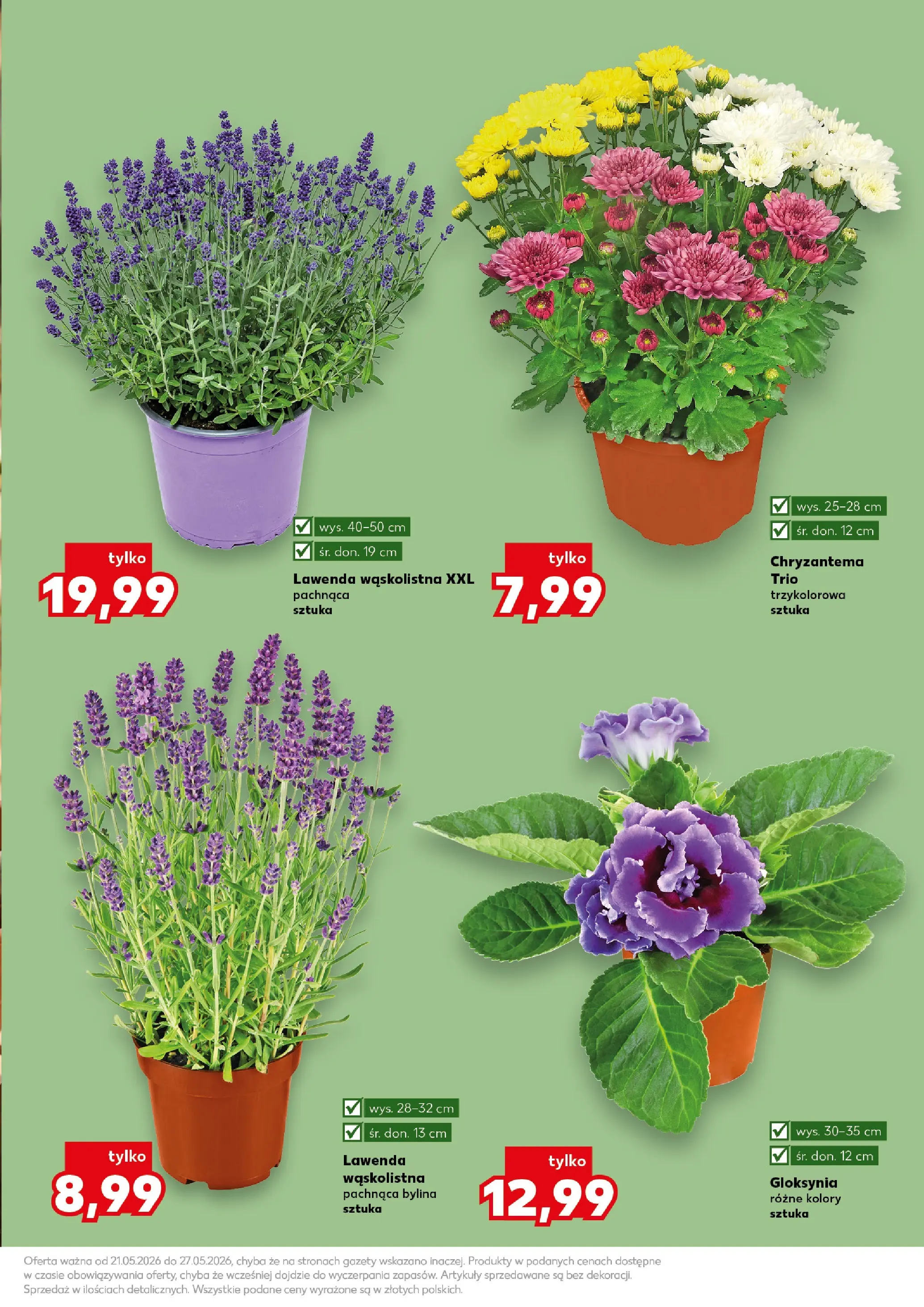 Kaufland gazetka - Ogród od 21.05.2026 - od jutra PDF | Strona: 11