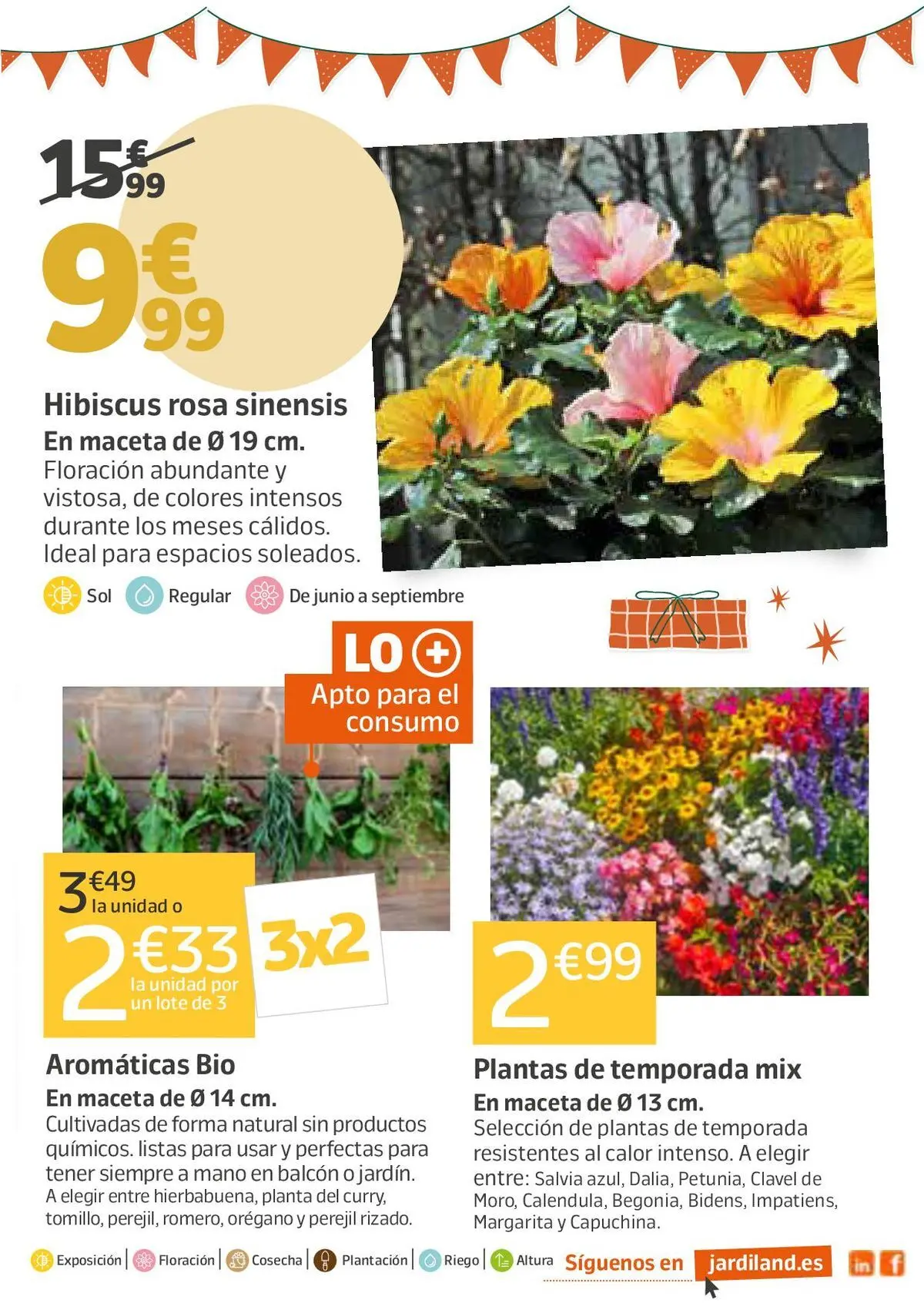 Jardiland - Jardiversario 20/05/2026 - 31/05/2026 | Página: 5 | Productos: Maceta