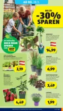 HOFER HOFER: Flugblatt - ab 22.05.2026