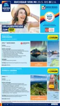 HOFER HOFER: Flugblatt - ab 22.05.2026
