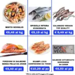 Zerotto Surgelati Offerte - al 31.05.2026