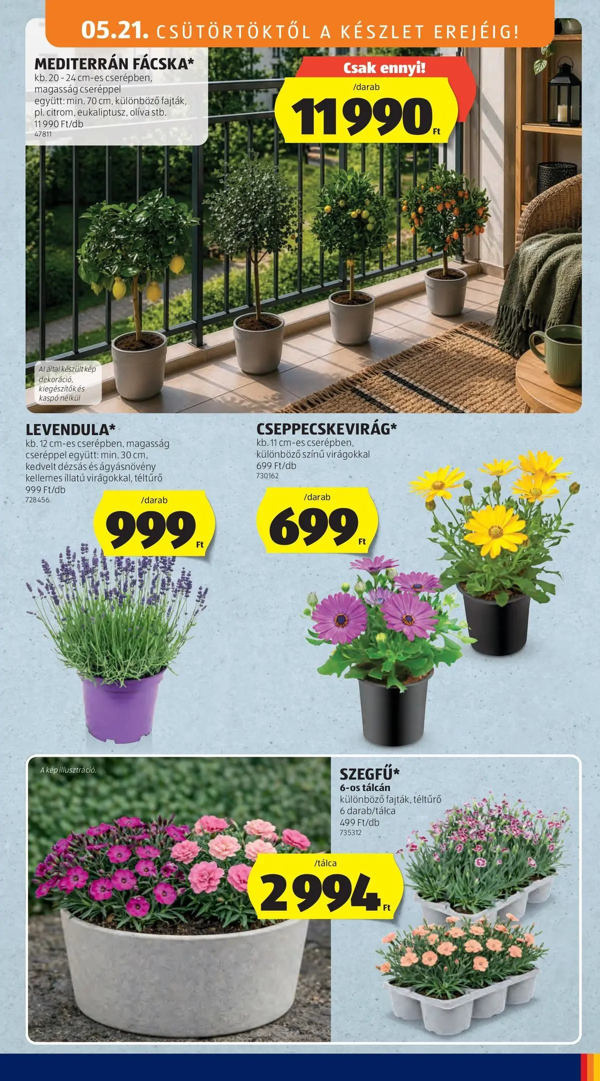 Aldi - Aldi újság érvényessége 2026.05.27-ig - 2026.05.20.-tól⏳Szórólap | Oldal: 31 | Termékek: Kaspó Aldi - Aldi újság érvényessége 2026.05.27-ig - 2026.05.20. -tól/töl > akció, lapozható szórólap 🛍️ | Oldal: 31 | Termékek: Kaspó