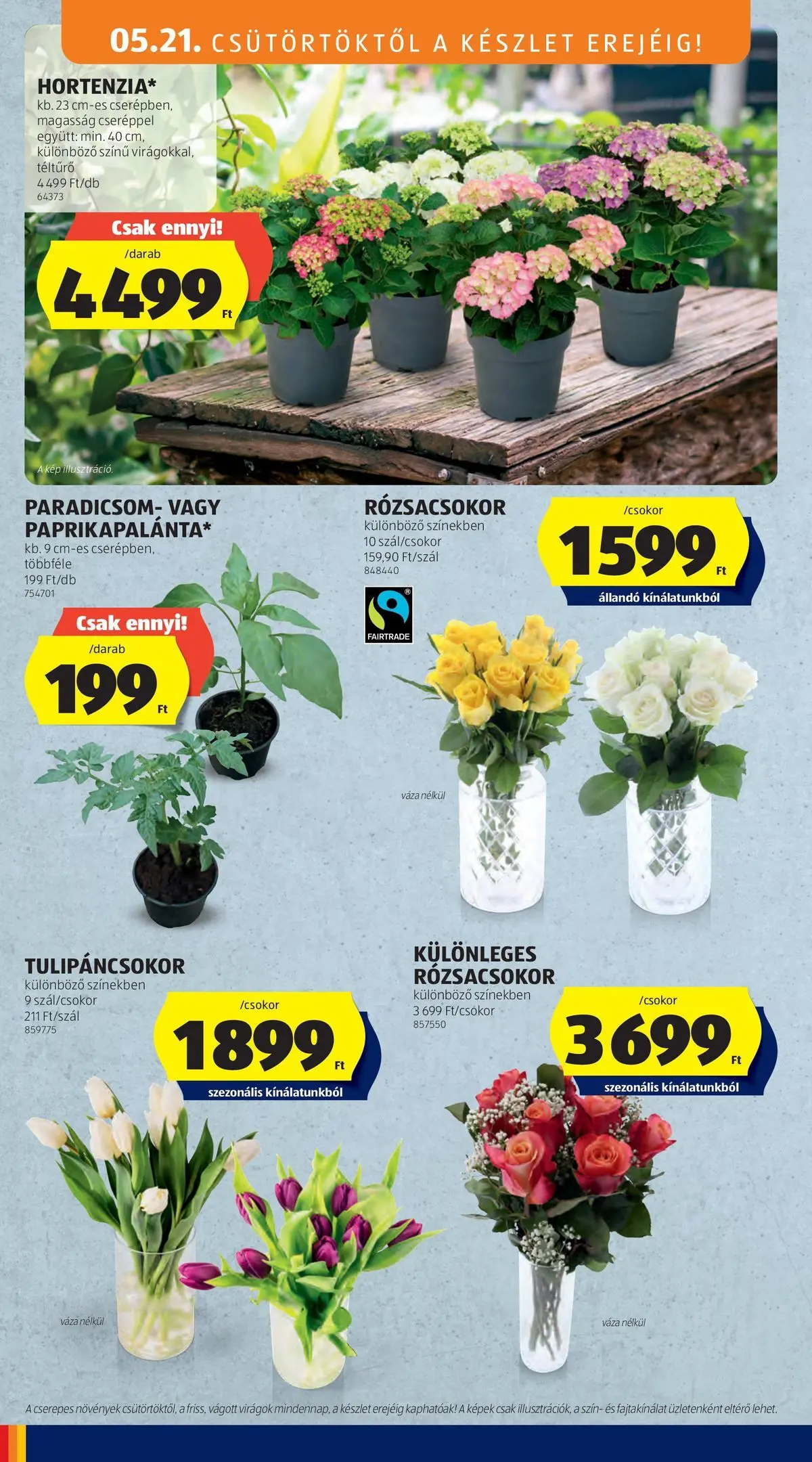 Aldi - Aldi újság érvényessége 2026.05.27-ig - 2026.05.20.-tól⏳Szórólap | Oldal: 32 | Termékek: Virágok, Váza, Paradicsom Aldi - Aldi újság érvényessége 2026.05.27-ig - 2026.05.20. -tól/töl > akció, lapozható szórólap 🛍️ | Oldal: 32 | Termékek: Virágok, Váza, Paradicsom
