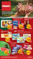 Catalog PENNY p&acirc;nă &icirc;n data de 26.05.2026