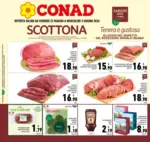 Conad Adriatico Soc.Coop. SCOTTONA - al 03.06.2026