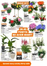 Katalog OBI