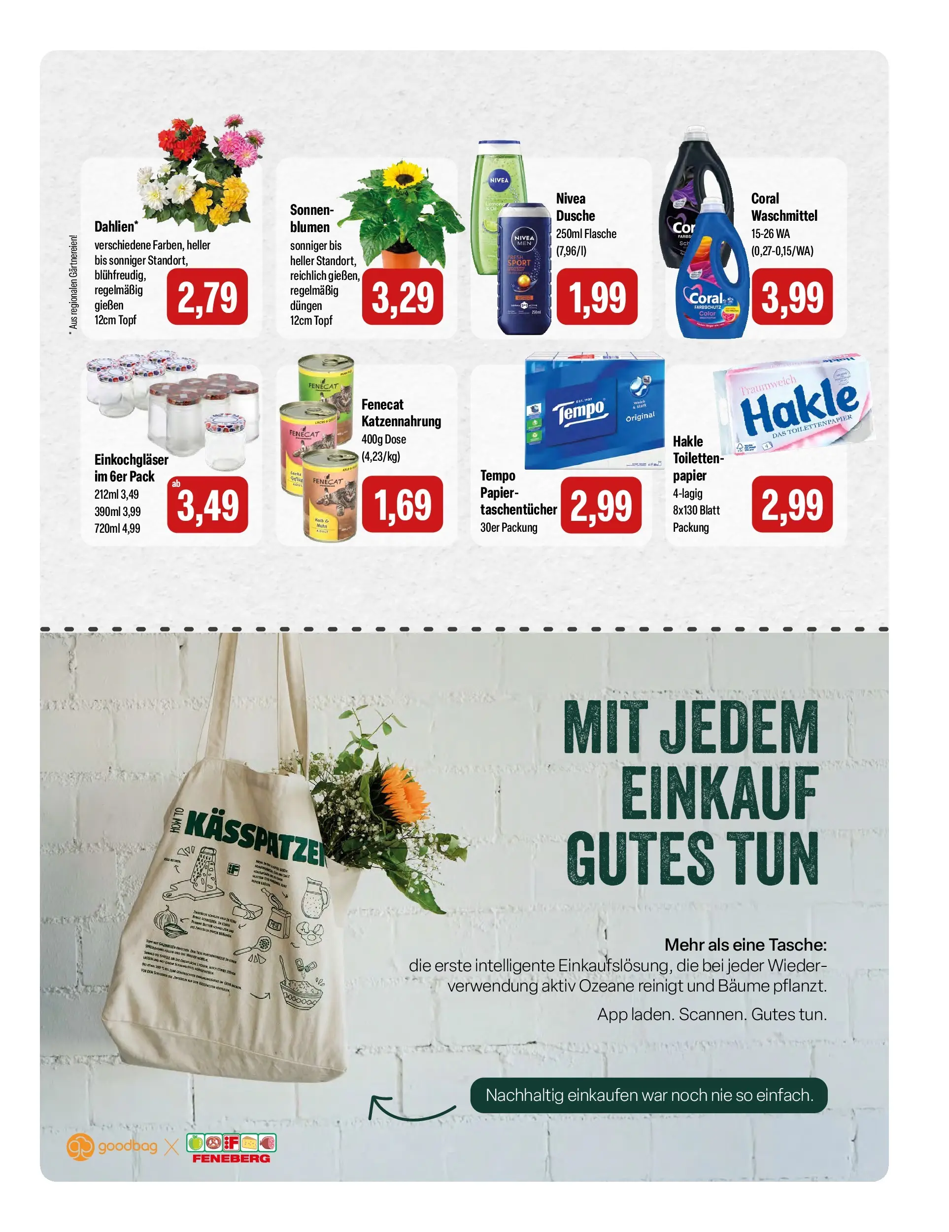 Feneberg Aktuelle Angebote (ab 28.05.2026) zum Blättern | Seite: 15 | Produkte: Coral, Blumen, Tempo, Toilettenpapier