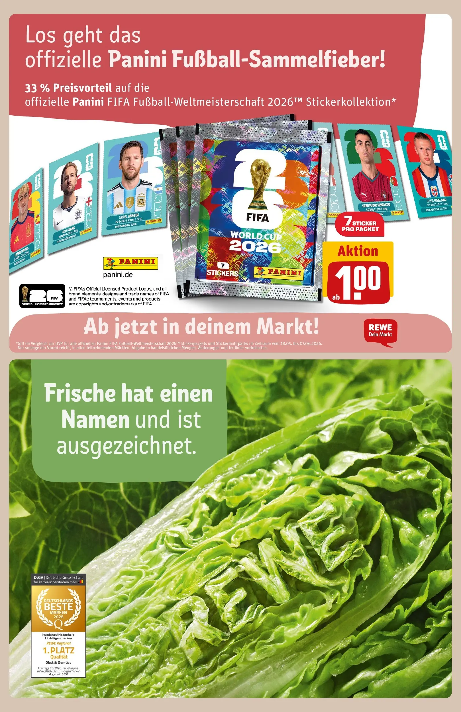 REWE Prospekt ab 26.05.2026 zum Blättern » Angebote | Seite: 19