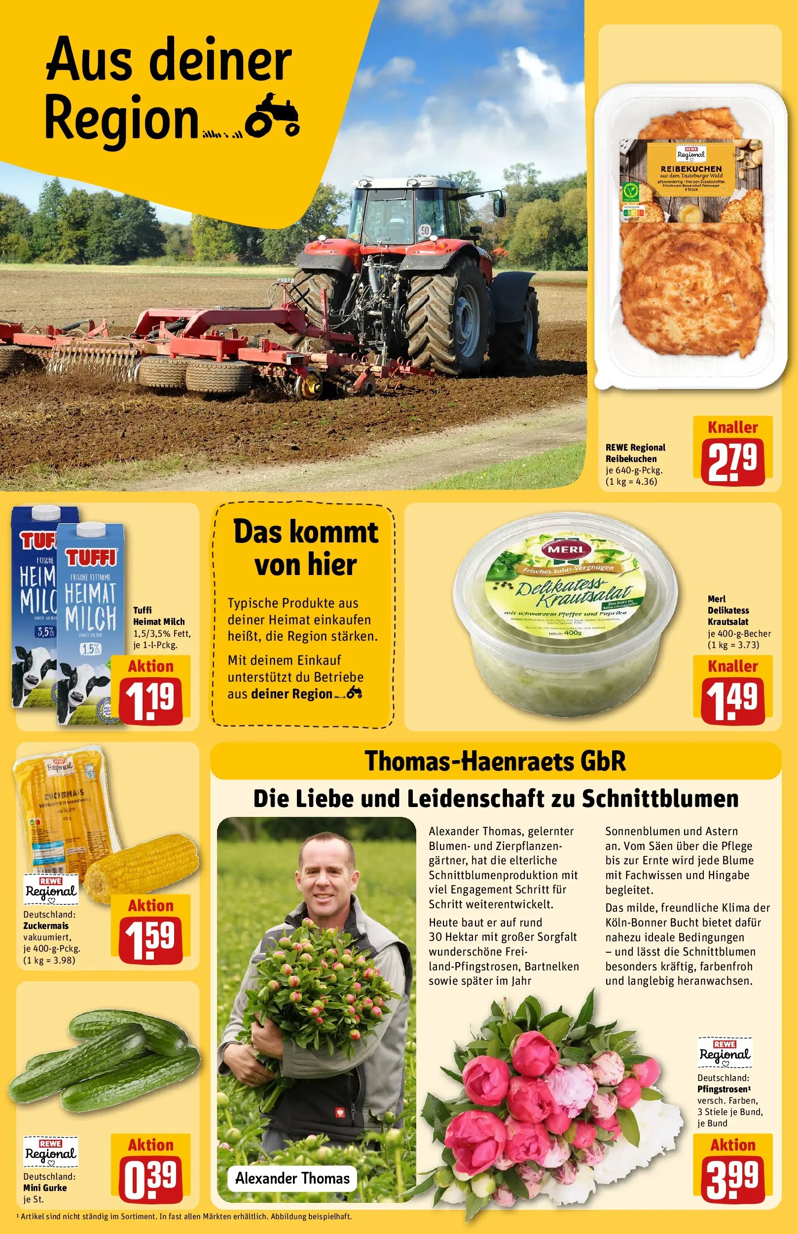 REWE Prospekt ab 26.05.2026 zum Blättern » Angebote | Seite: 24
