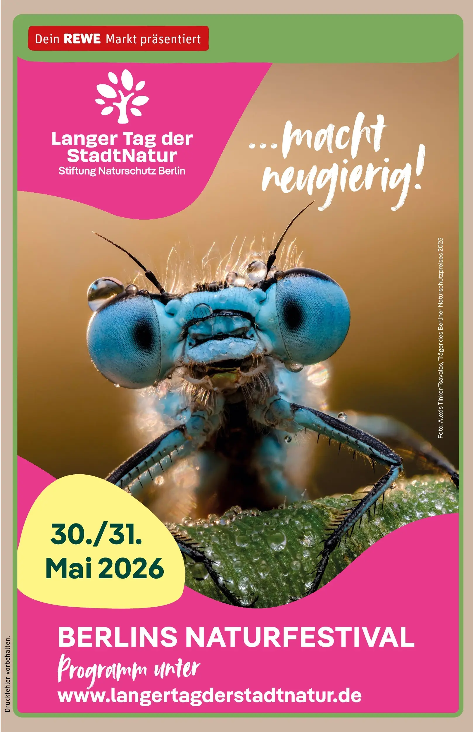 REWE Prospekt ab 26.05.2026 zum Blättern » Angebote | Seite: 31
