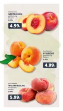 Rewe: Wochenangebote