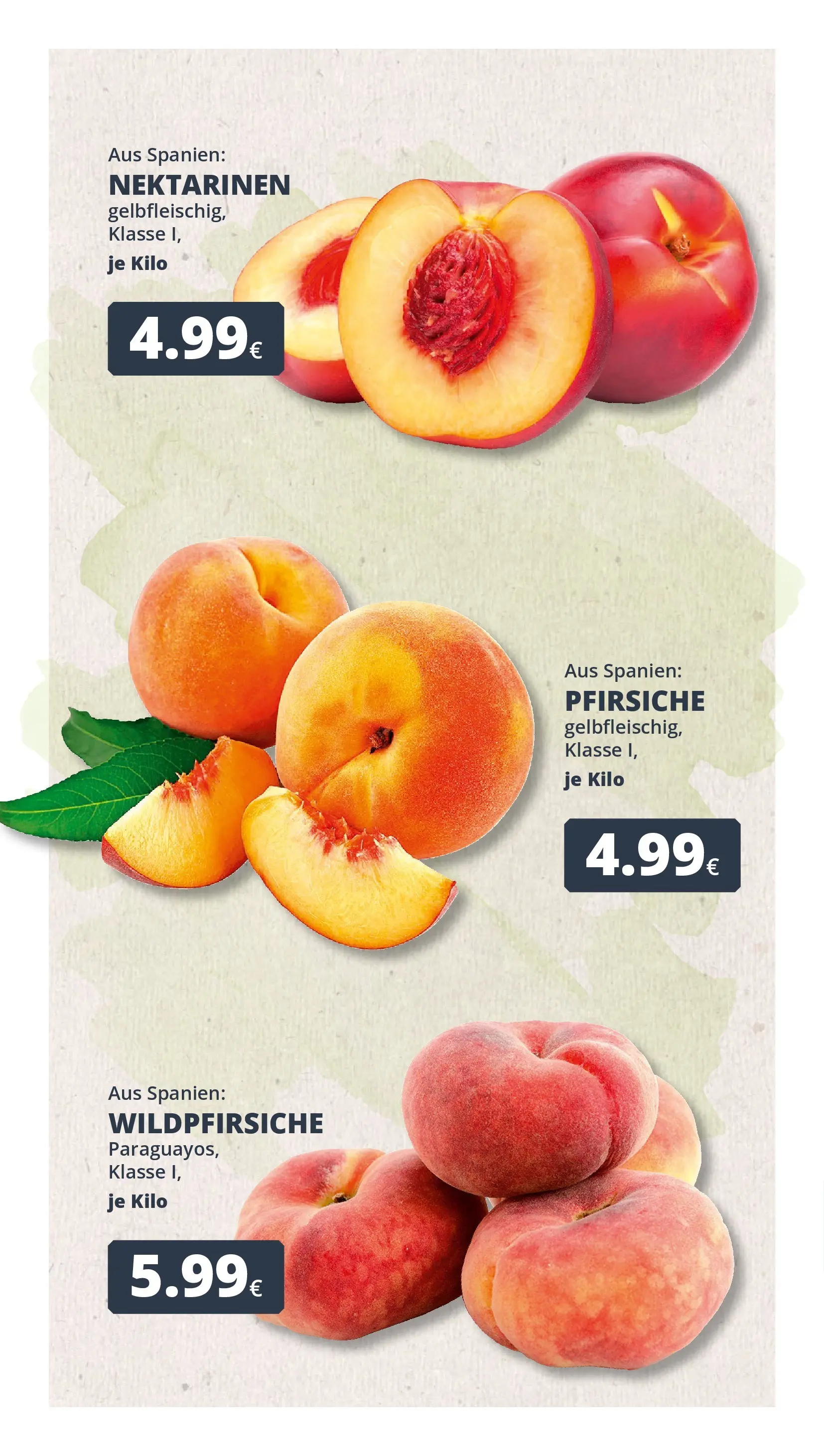 REWE Prospekt ab 26.05.2026 zum Blättern » Angebote | Seite: 2