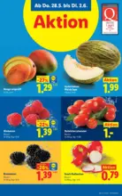 Lidl Lidl - ab 28.05.2026