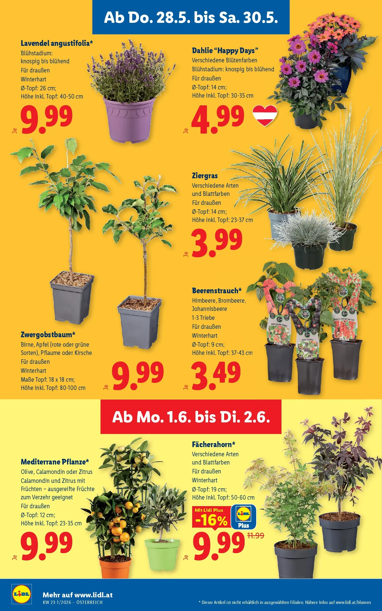 Lidl - Lidl ab 27.05.2026 - Angebote ab donnerstag | Seite: 28