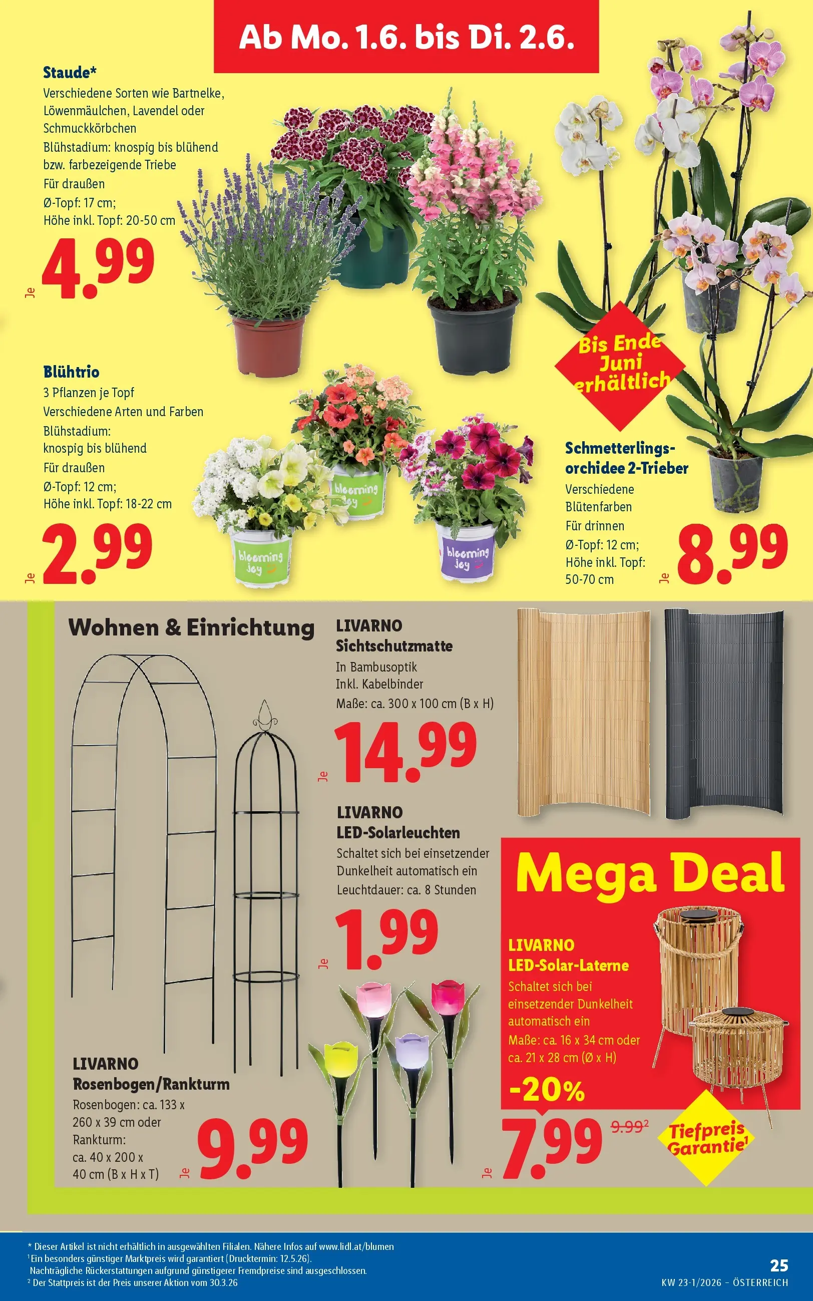 Lidl - Lidl ab 27.05.2026 - Angebote ab donnerstag | Seite: 32