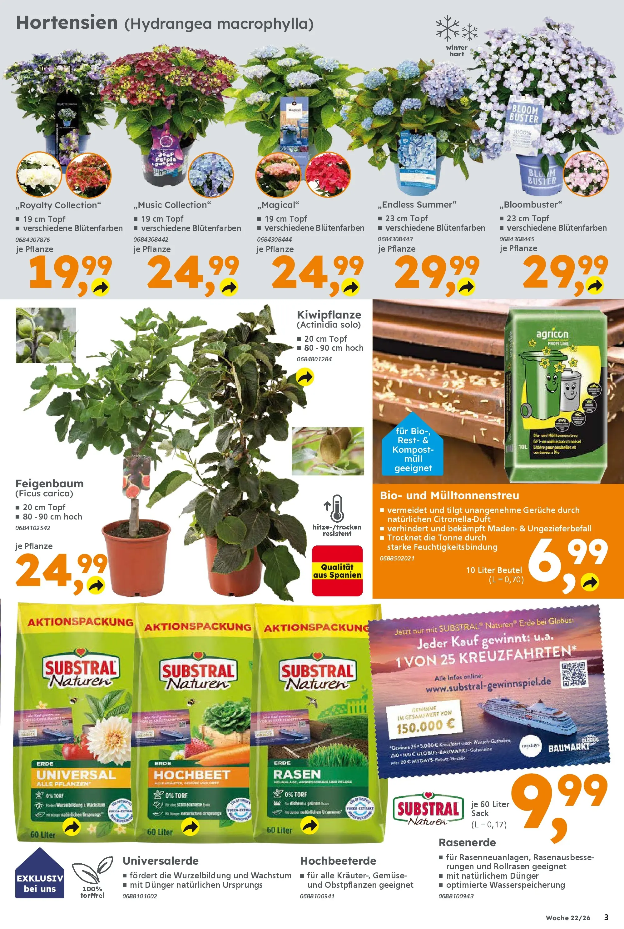 Globus Baumarkt Prospekt Plattling (ab 25.05.2026) zum Blättern | Seite: 3 | Produkte: Hochbeet, Gemüse