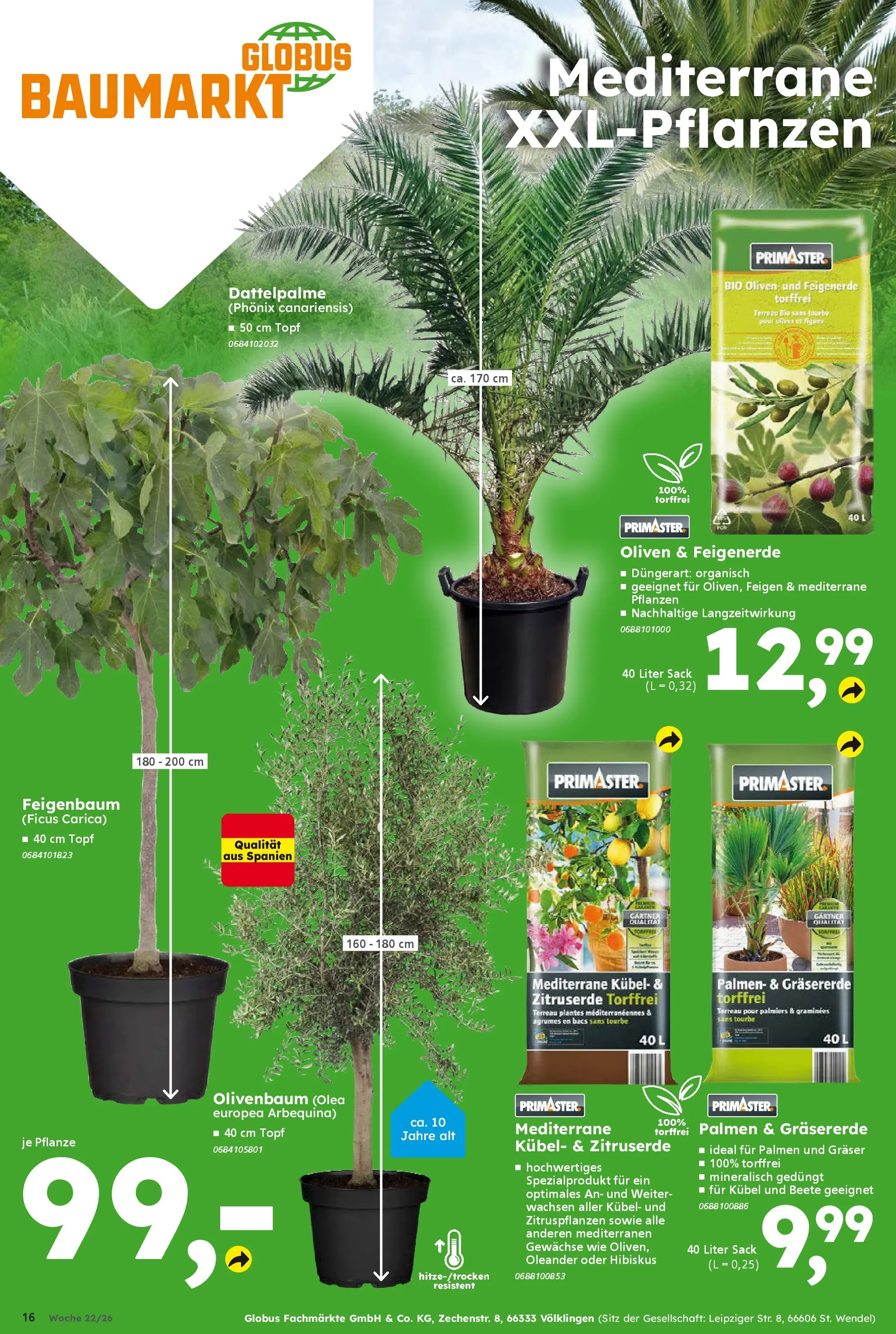 Globus Baumarkt Prospekt Plattling (ab 25.05.2026) zum Blättern | Seite: 16
