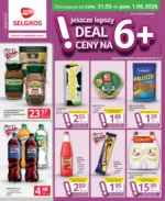 Oferta dla profesjonalist&oacute;w Selgros &ndash; do 01.06.2026