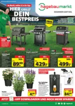 BZN BAUSTOFF ZENTRALE NORD GmbH & Co. KG hagebau Angebote vom 06.06. - 20.06.2026 - bis 12.06.2026