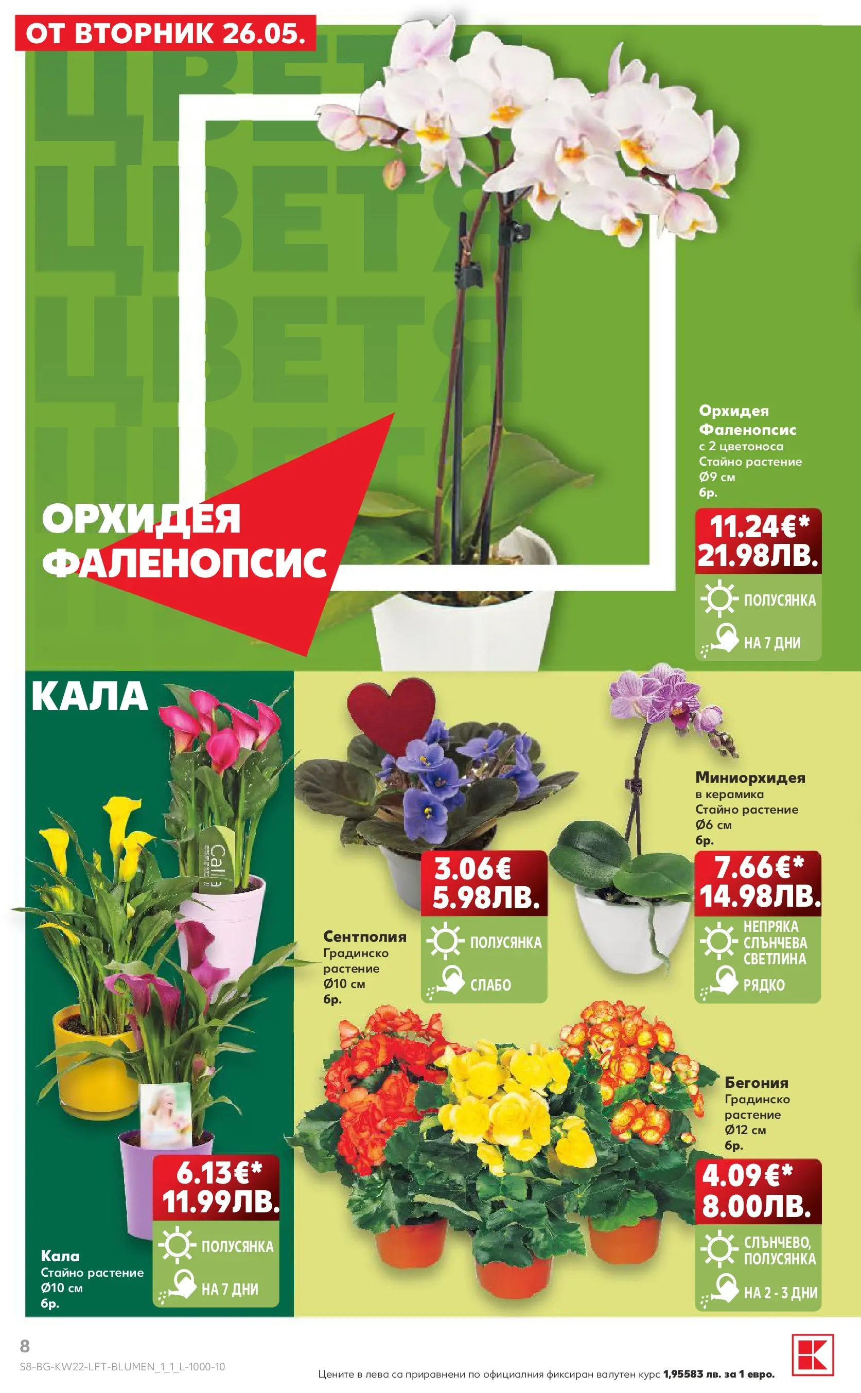 Нова Кауфланд брошура от 24.05.2026 | Страница: 8 | Продукти: Орхидея Нова Кауфланд брошура - Вземи XTRA с Kaufland предложения с валидност до 31.05.2026 от 24.05.2026 | Страница: 8 | Продукти: Орхидея