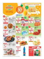 Globus 22 26 L1