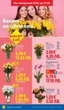 ЛИДЛ Топ марки на топ цени в ЛИДЛ с валидност до 24.05.2026 - до 24-05-26