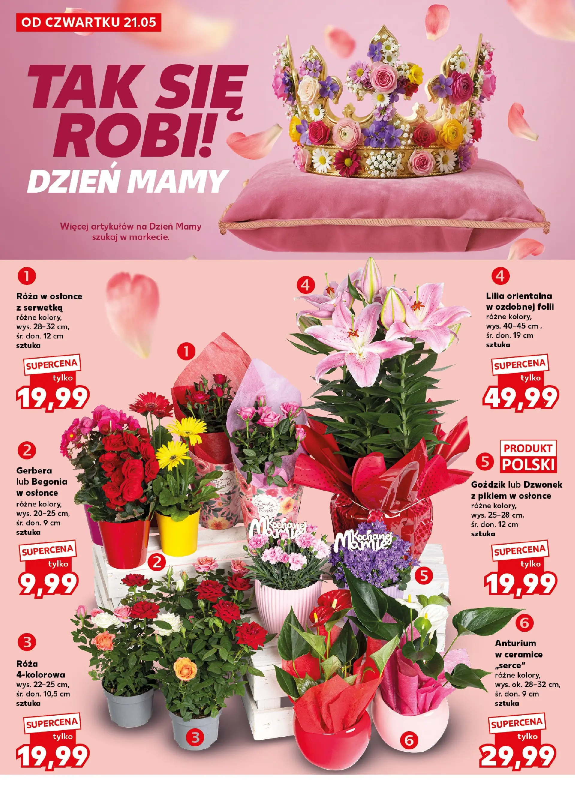 Kaufland gazetka - Super Sobota od 23.05.2026 - od jutra PDF | Strona: 12 | Produkty: Goździk