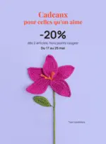 Phildar Id&eacute;es cadeaux - au 25.05.2026