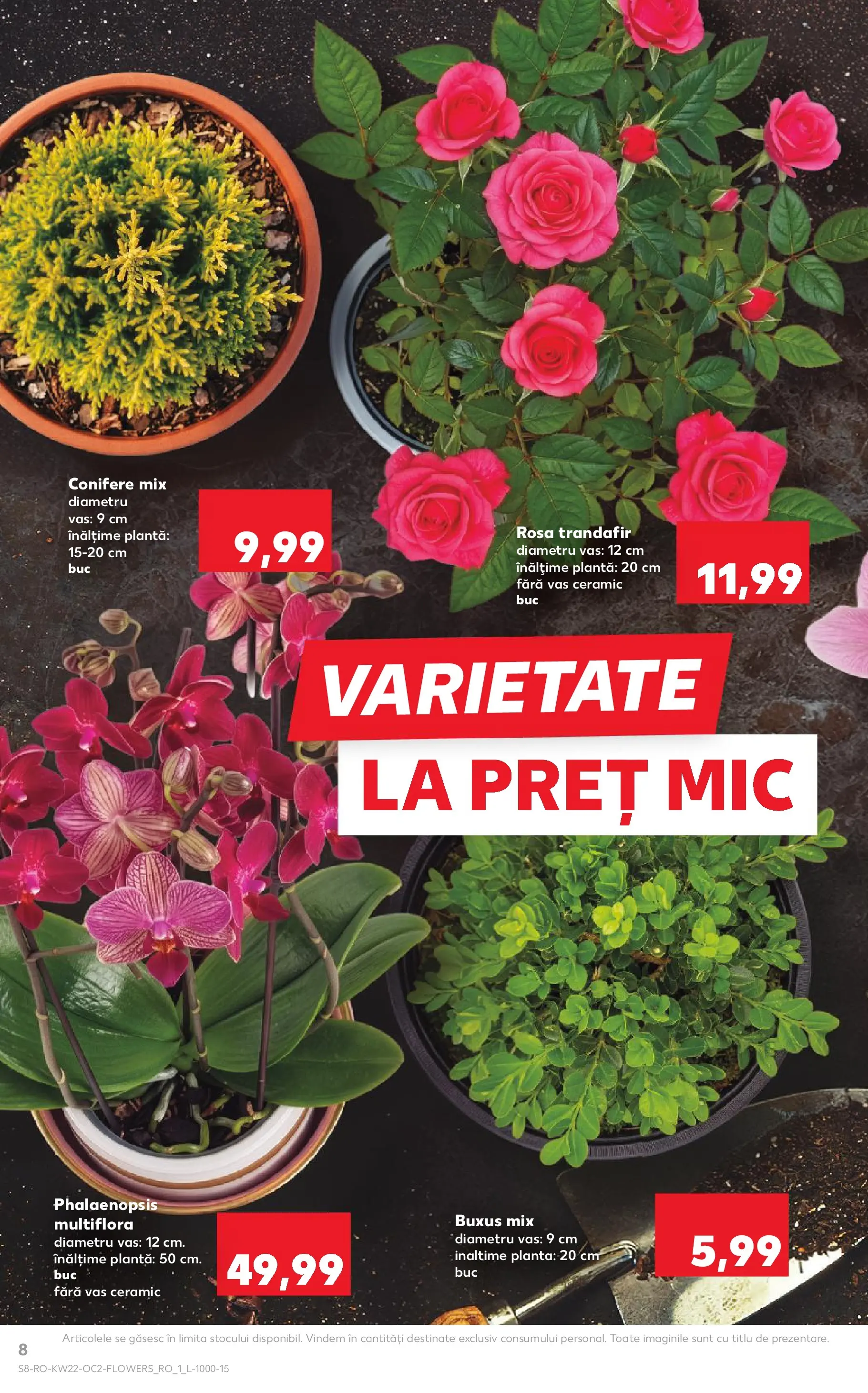 Kaufland Domnesti 26.05.2026 - Revista si Oferta | Pagină: 8