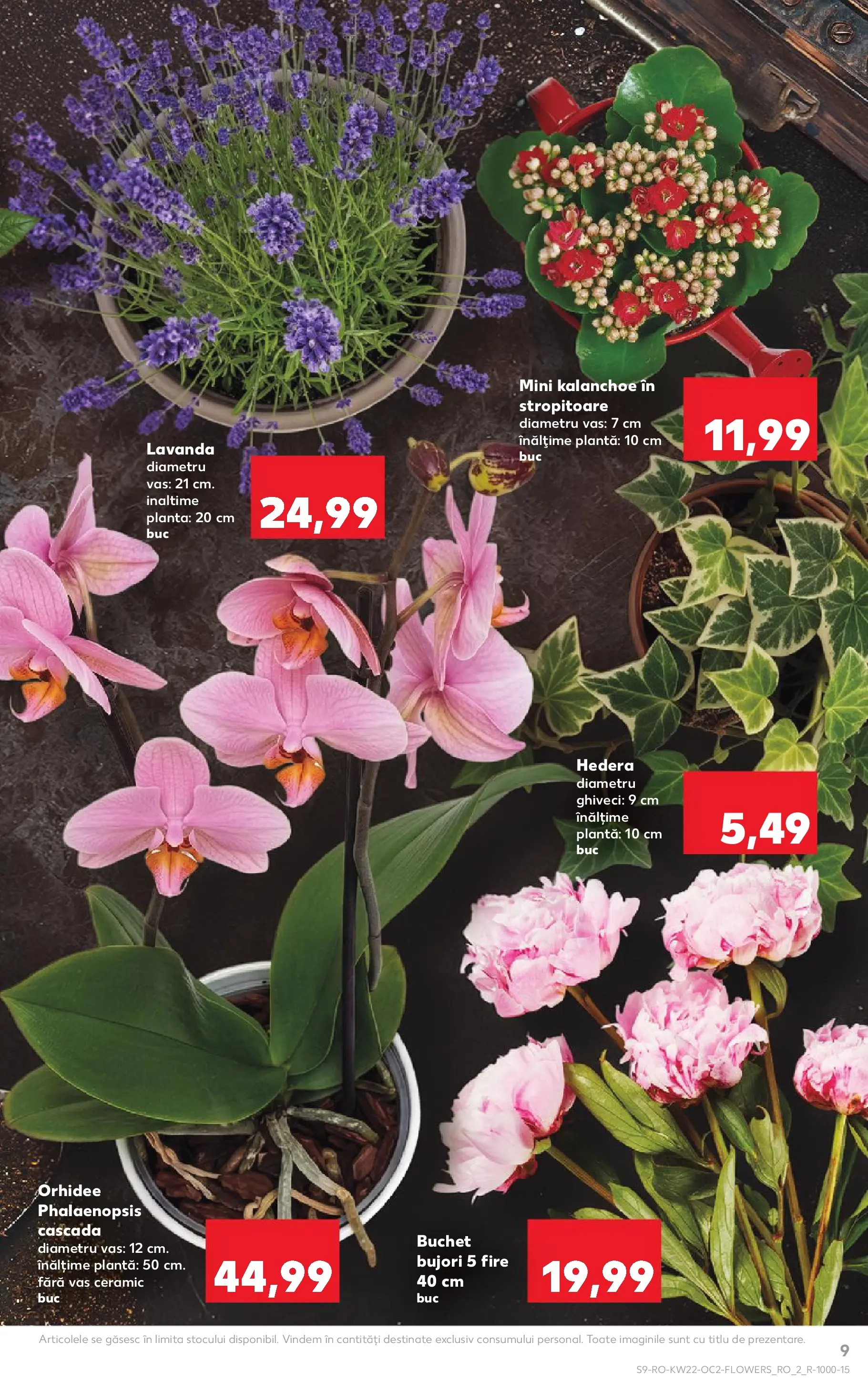 Kaufland Domnesti 26.05.2026 - Revista si Oferta | Pagină: 9