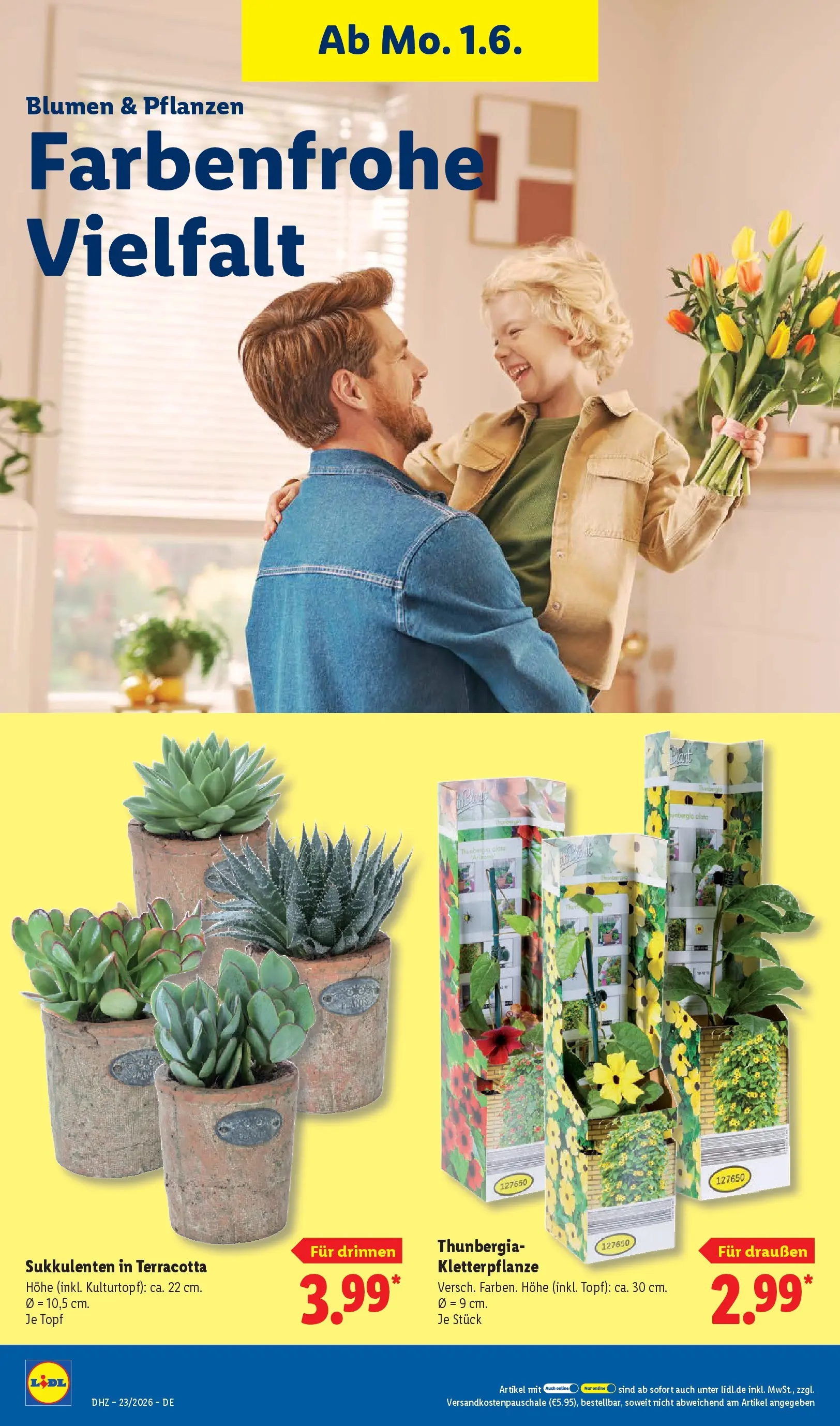 Lidl Prospekt Weikersheim (ab 31.05.2026) » Angebote online | Seite: 68 | Produkte: Blumen Lidl Prospekt Weikersheim (ab 31.05.2026) zum Blättern » Angebote | Seite: 68 | Produkte: Blumen