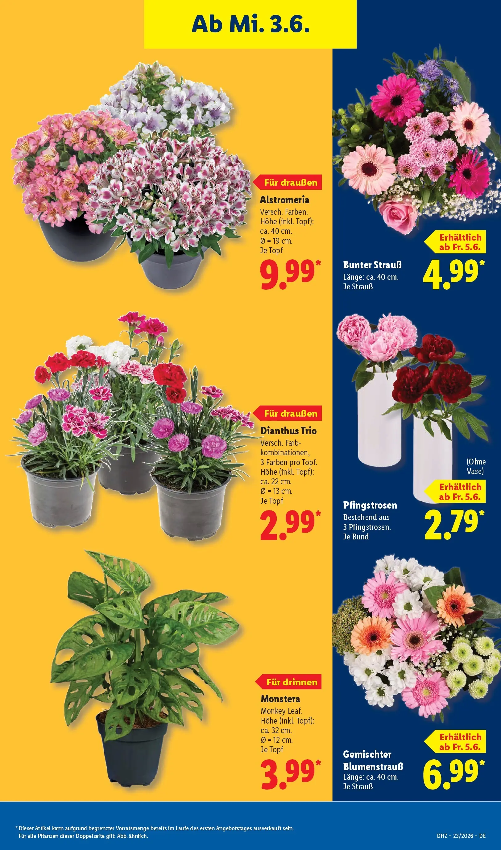 Lidl Prospekt Weikersheim (ab 31.05.2026) » Angebote online | Seite: 69 Lidl Prospekt Weikersheim (ab 31.05.2026) zum Blättern » Angebote | Seite: 69