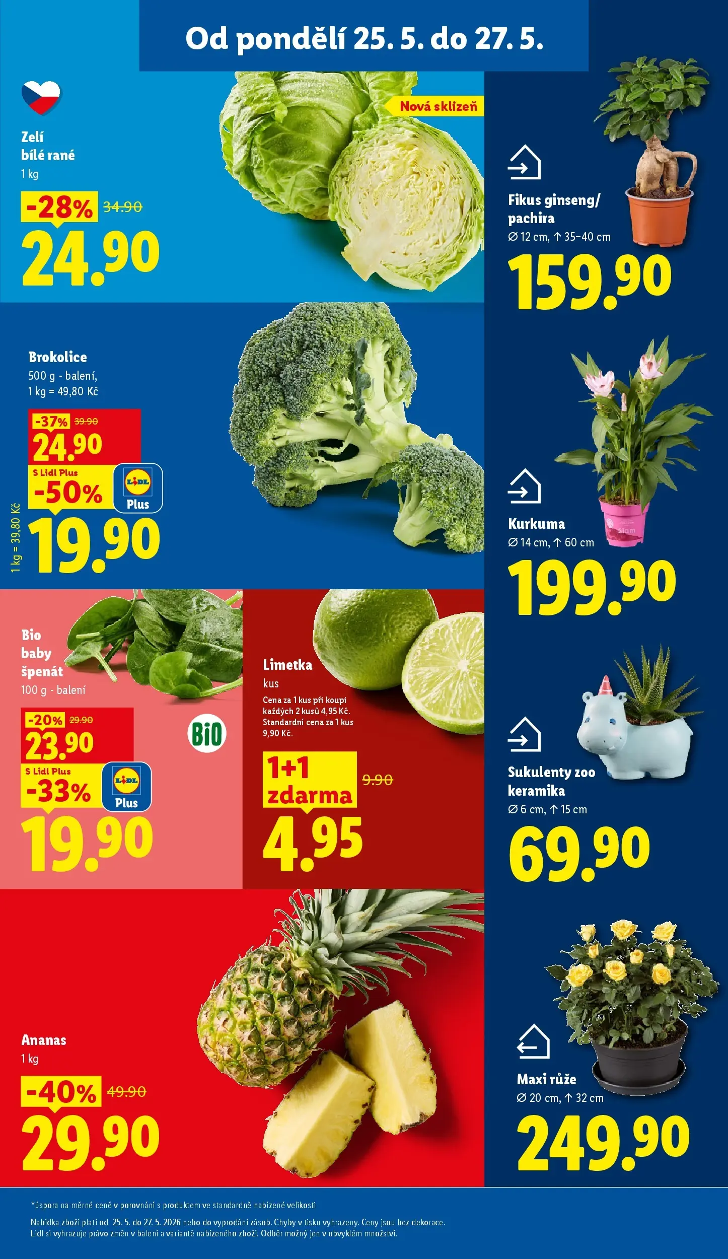 Lidl leták od 24.05.2026 - Nový akční leták | Strana: 11 | Produkty: Zelí, Špenát, Brokolice, Kurkuma