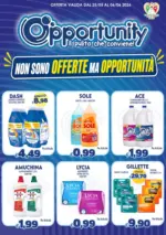 Opportunity Shop Non sono offerte ma opportunita - al 06.06.2026