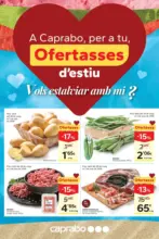Ofertasses d'estiu