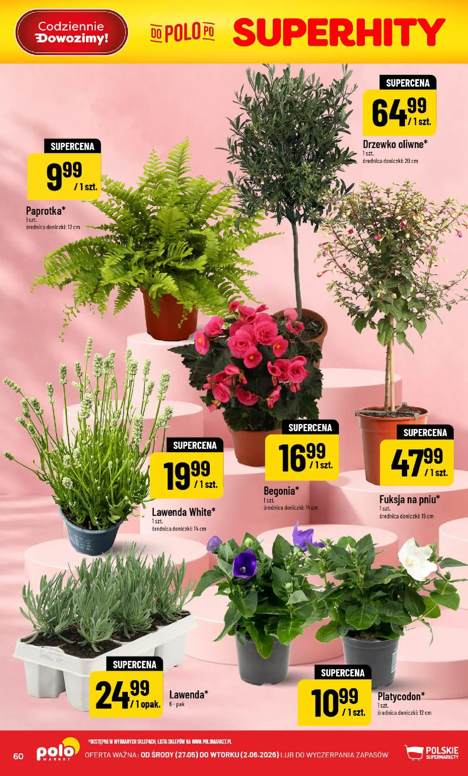 Nowa POLOmarket gazetka od jutra 27.05.2026 | Strona: 60 | Produkty: Doniczki