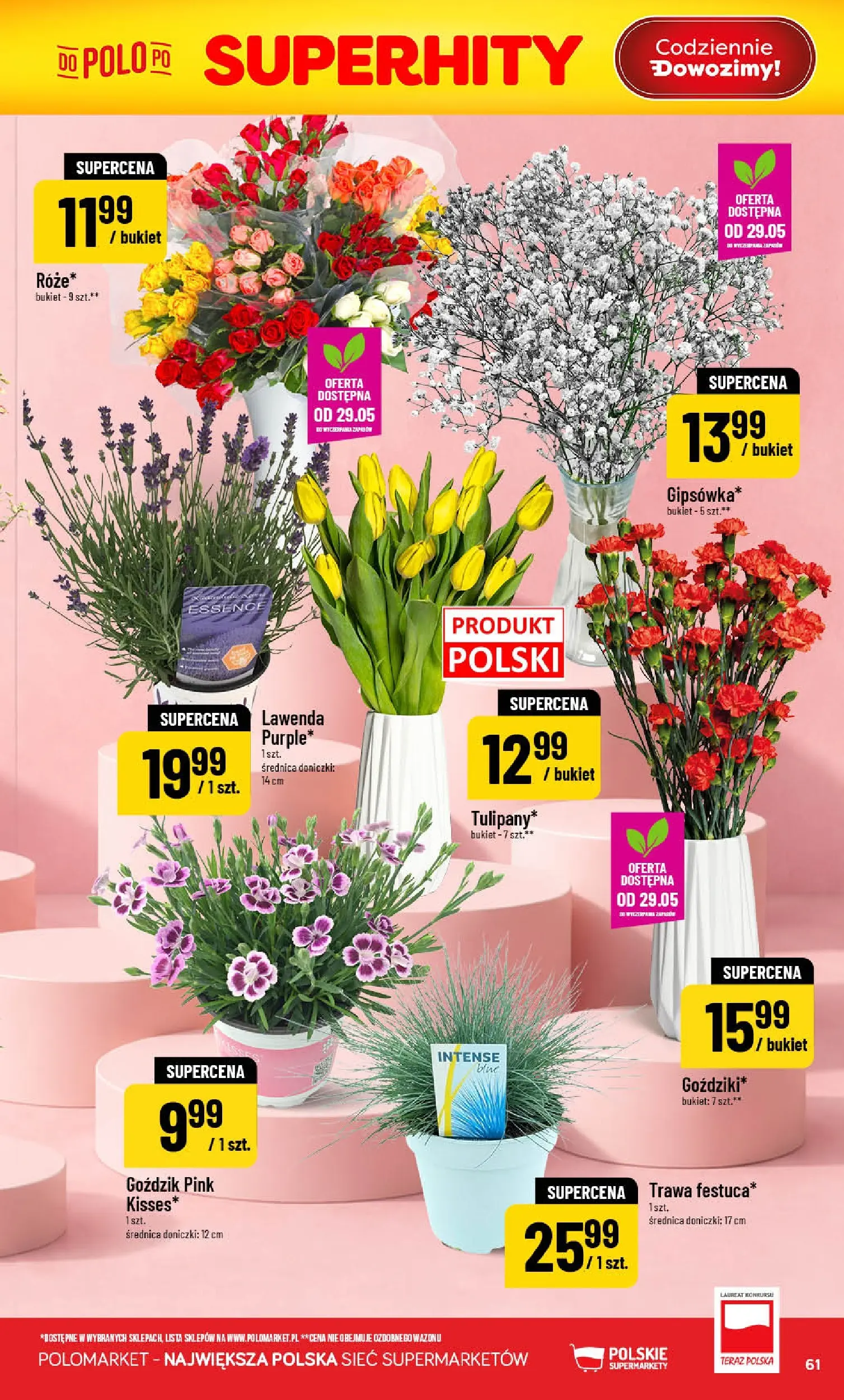 Nowa POLOmarket gazetka od jutra 27.05.2026 | Strona: 61 | Produkty: Goździk, Doniczki