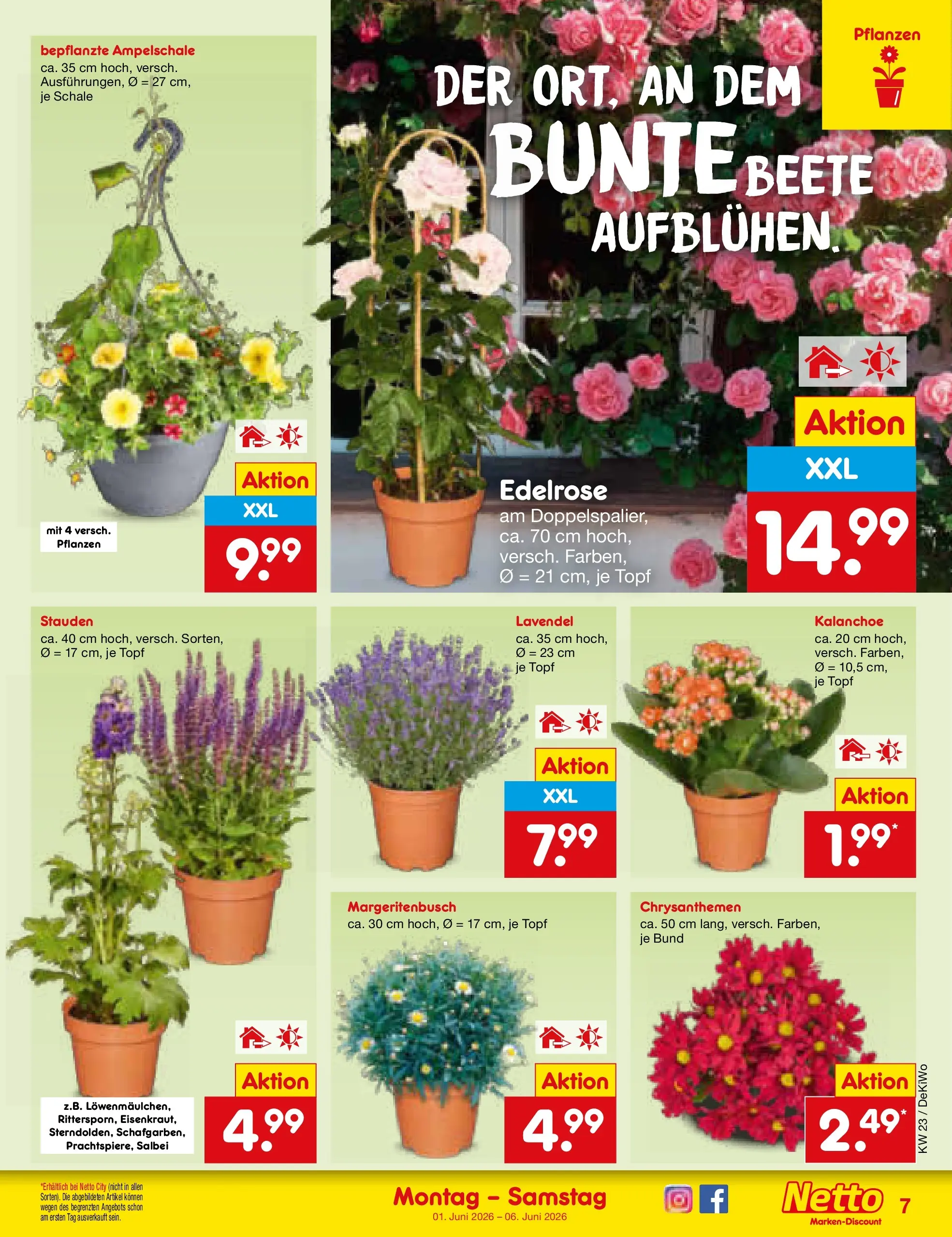 Netto Marken-Discount Prospekt Mannheim (ab 01.06.2026) » Angebote | Seite: 7 | Produkte: Lavendel Netto Marken-Discount Prospekt Mannheim (ab 01.06.2026) » Angebote | Seite: 7 | Produkte: Lavendel